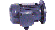 CV..S城邦立式標準ICE三相鋁殼剎車馬達